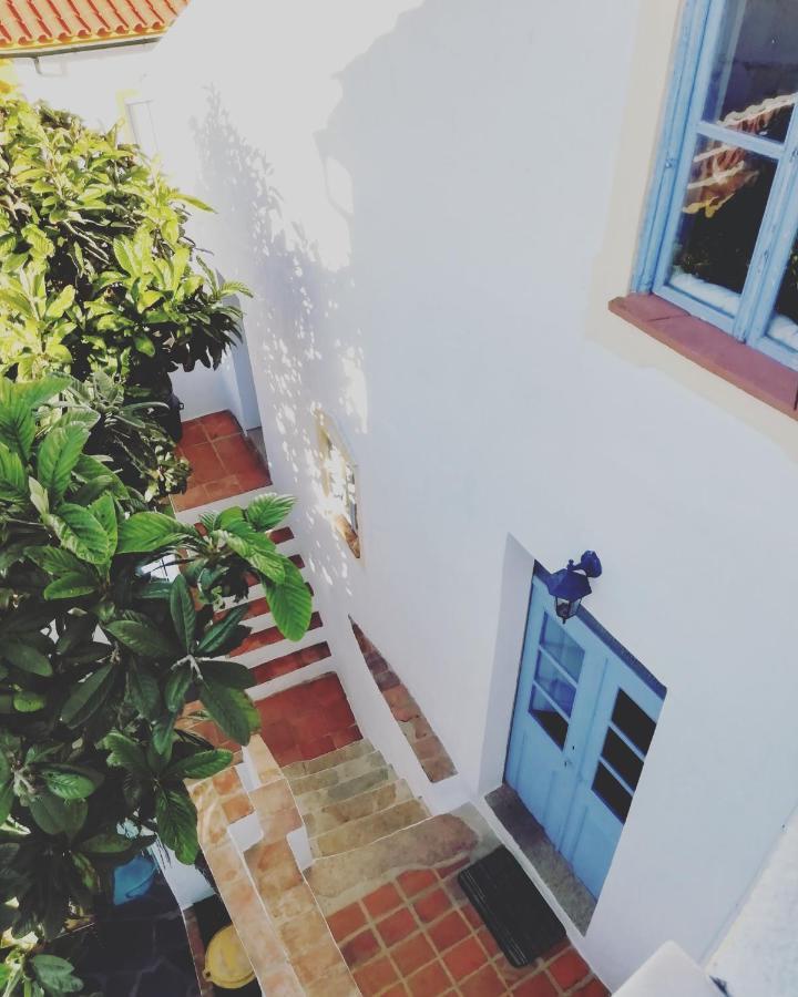 Casa Do Patio- Bed & Breakfast- City Center Portalegre Zewnętrze zdjęcie
